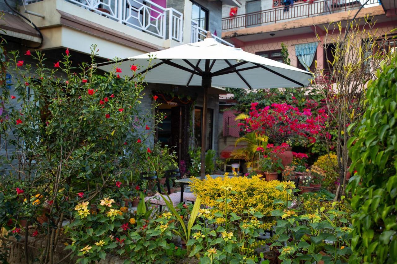 Hotel Orchid Pokhara Dış mekan fotoğraf